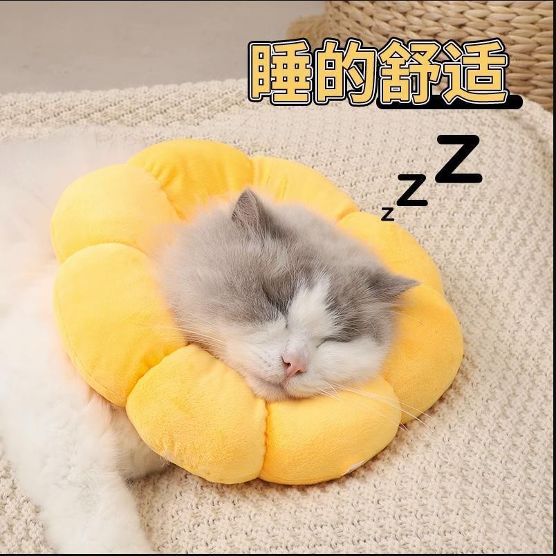 伊丽莎白项圈跳蚤宠物伊丽莎白圈
