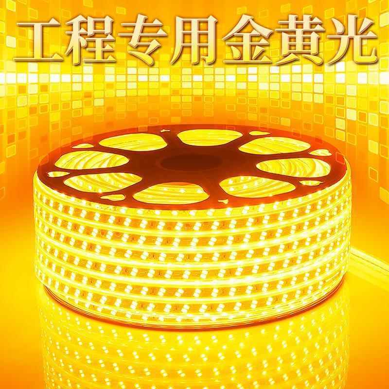 金光573黄0双排贴片黄色酒店KTV户外防水金黄线灯1光205730型珠LE