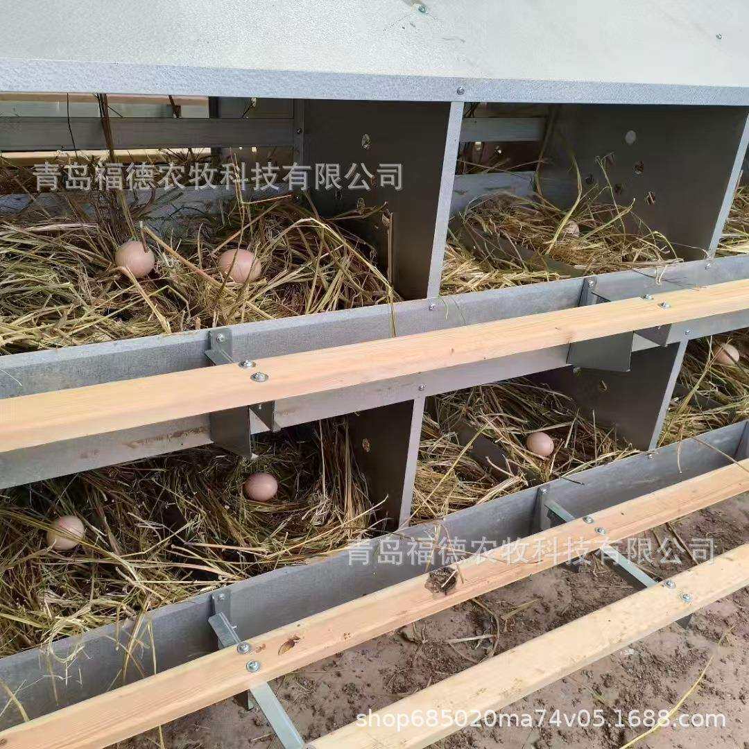 种鸡产蛋箱 母鸡下蛋箱子 24窝12窝产蛋窝 母鸡下蛋箱