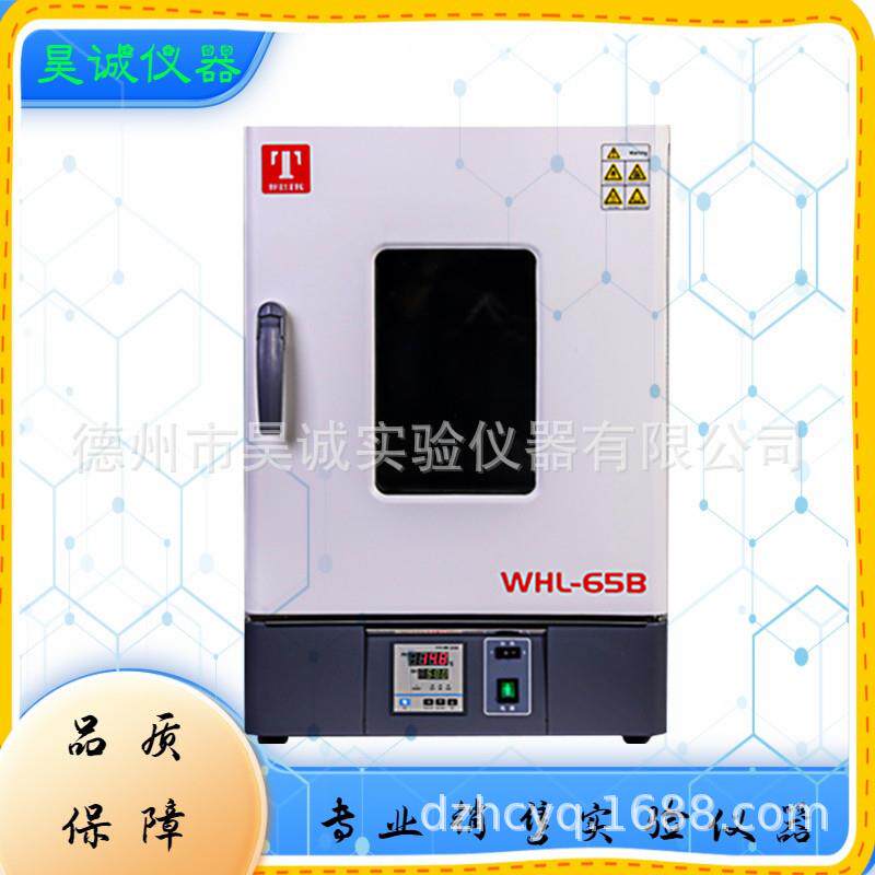 天津泰斯特WHLL-30BE立式恒温干燥箱WHL-30L烘烤箱高温老化箱