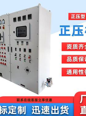 正压型正压柜防爆电气控制柜防爆正压柜不锈钢电气控制正压柜