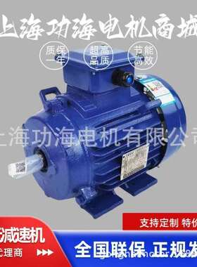 TECO东元电机东元马达TEV3系列GB3/IE3能效AEEV3N040002YWE--节能