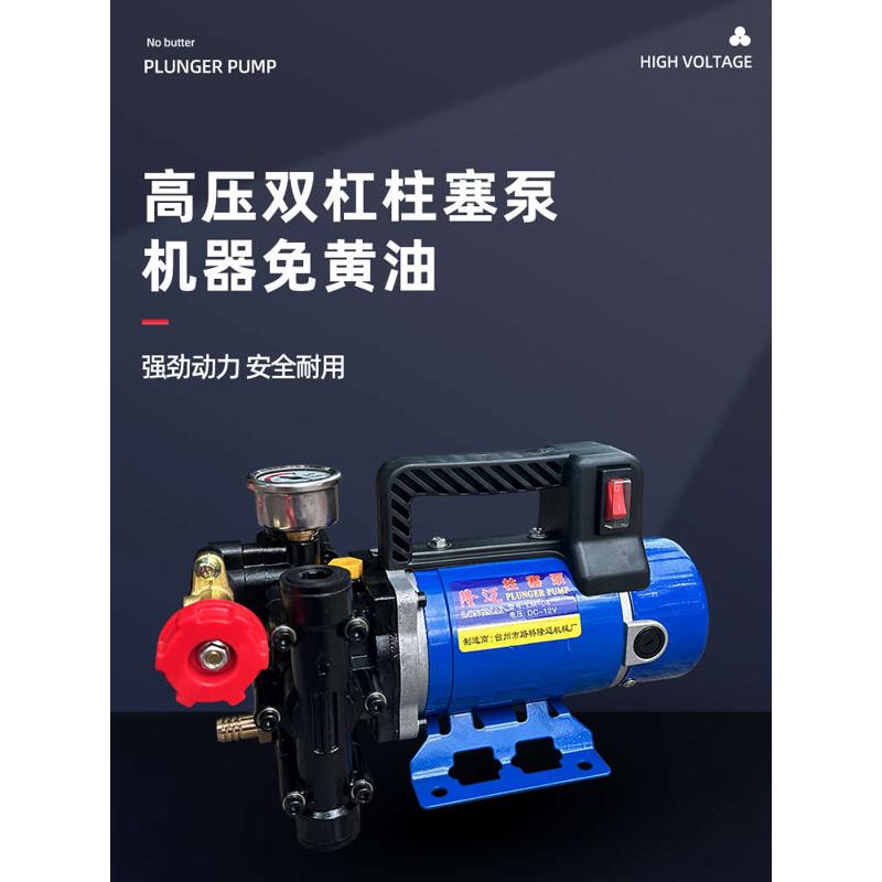 隆迈手提式打药机农用电动果树喷雾器12v60v24v220伏双缸柱塞泵