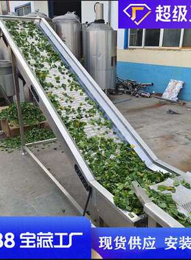 泡气清洗机全自动喷淋净菜洗设清备山野菜切割清洗加工流水线