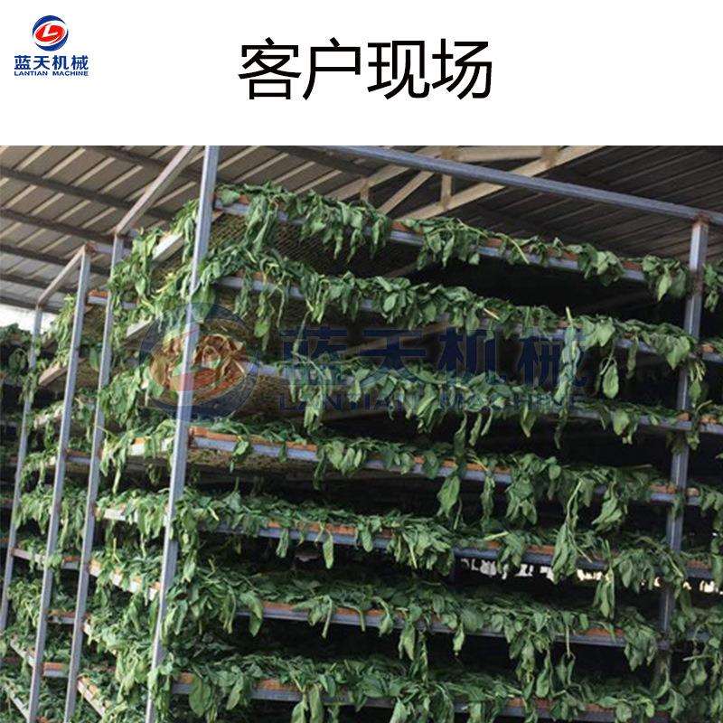 薄荷叶干燥设备 空气能水益母水薄荷整叶脱水烤房 大型薄荷烘干机