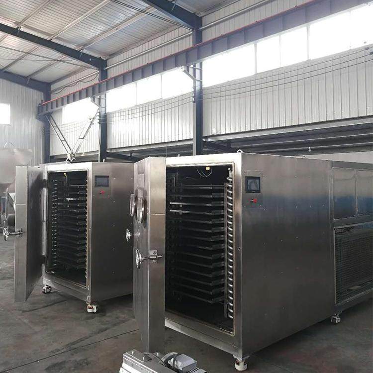 按需定做蔬真空干机 宠果物粮冻干机 WWS燥真空冷冻冻干机 肉类真