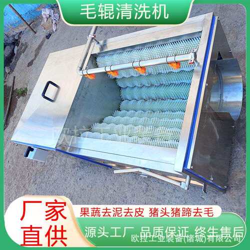 芋头花生洗泥去皮设备 全自动毛辊清洗机 海产品扇贝牡蛎去泥机