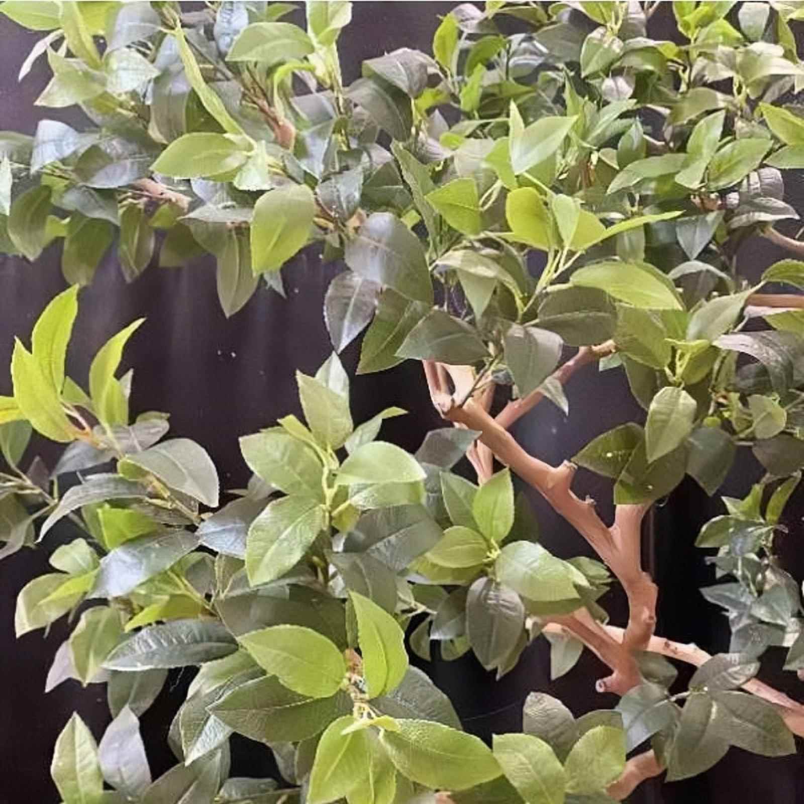 仿真树创意仿真马木角中式假树挂壁软造景仿真绿植工装艺装墙饰醉
