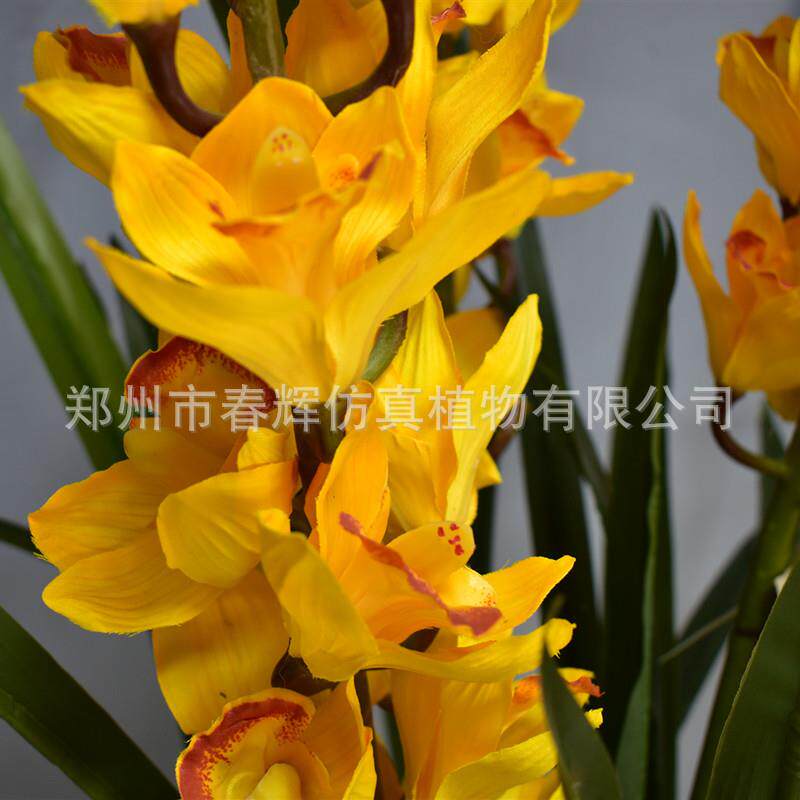 仿真植物盆景 仿真蕙兰君子兰盆栽 仿真水仙花室内绿植装饰假绿植