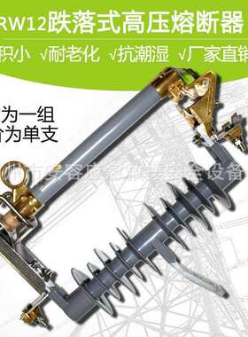 跌落式熔断器HRW12-15/100-200A熔丝熔管保险丝10kv户外令克开关
