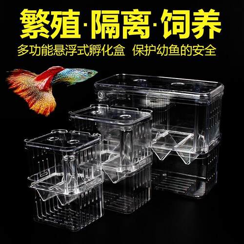 亚克力孔雀繁殖鱼缸隔离孵化器