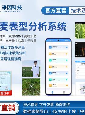 小麦表型检测仪亩穗数分析仪麦穗形态检测仪小麦表型分析系统