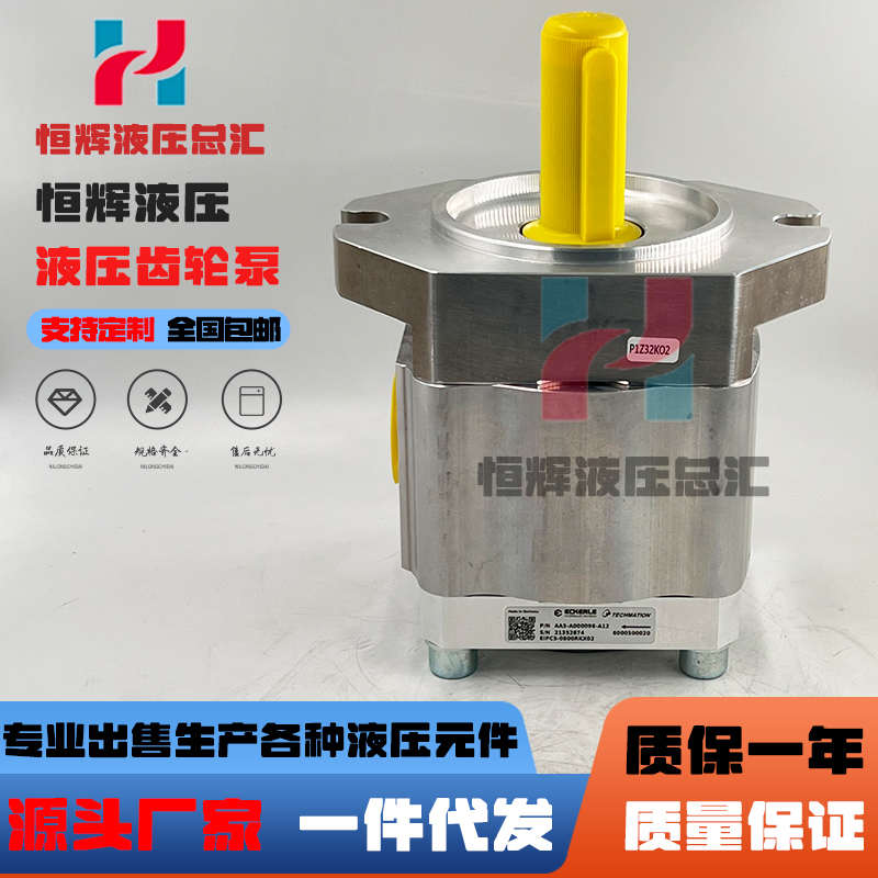 艾可勒液压泵ECKERLE齿轮泵890-EI-0800-RK2C502-00 EIPC5油泵