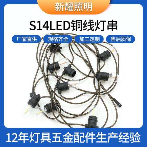 跨境新品led铜线灯串 花束装饰氛围彩灯条小灯串户外发光灯线家用