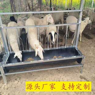 羊颈养殖胶皮羊料加厚输送带定位翻转厂家直销底槽食槽槽子羊槽