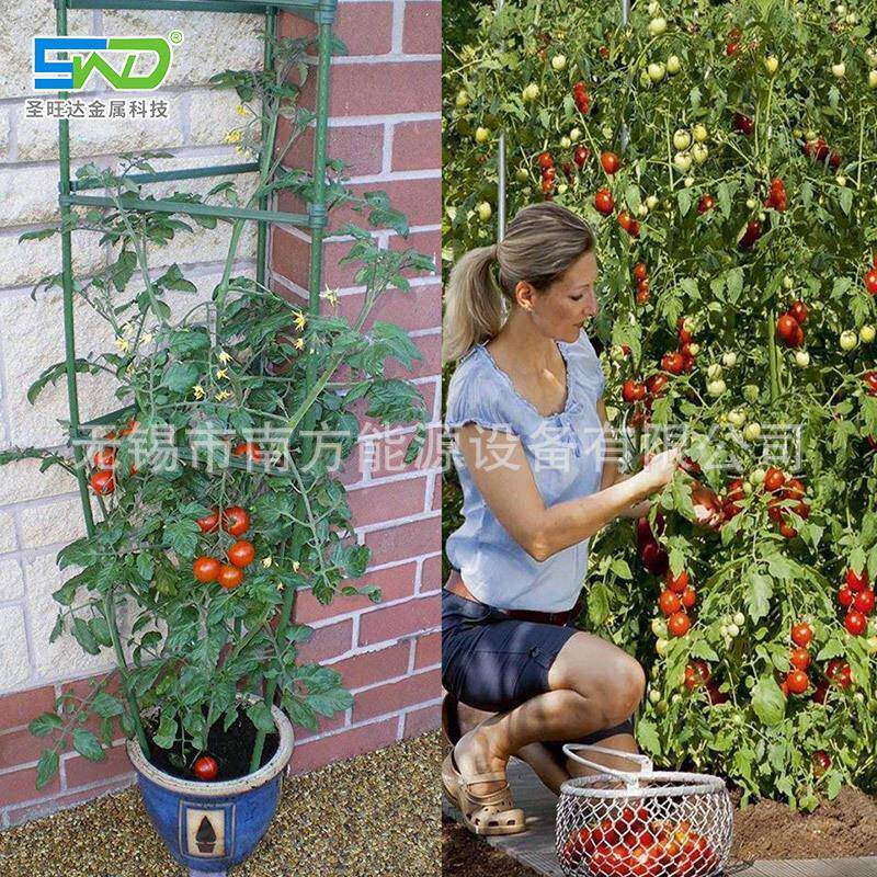 植物连接杆爬藤架支撑杆支架阳台种菜园艺包塑钢管番茄支柱套装