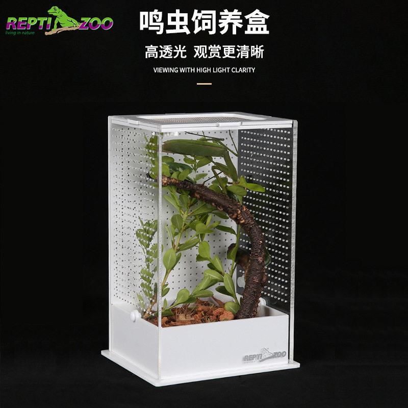 Reptizoo压克力饲养盒竹蛉昆虫盒螳螂罐螽斯笼子鸣虫生态盒蟋蟀箱图片