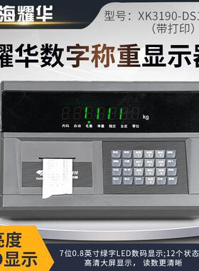 上海耀华XK3190-DS10物联网称重仪表显示器汽车衡数字表头大地磅