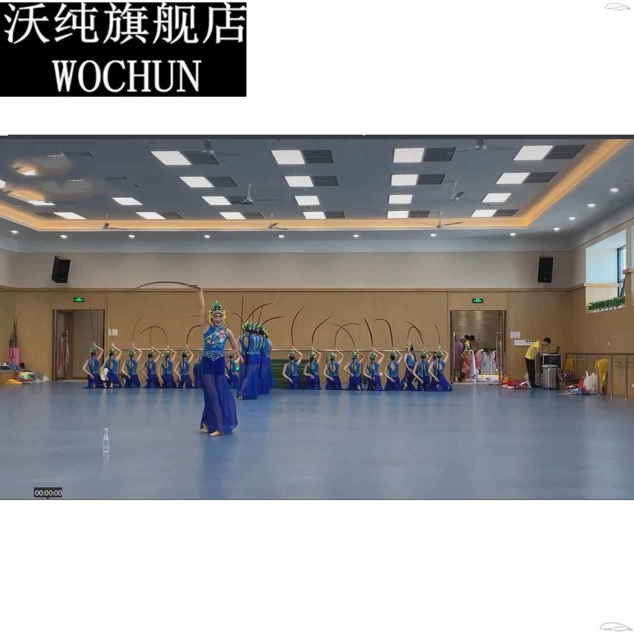 国韵春华舞蹈服戏服花旦俏花旦演出服小红娘表演服粉墨春秋服装