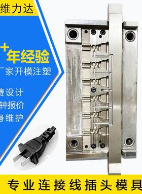 国标两插模具AC电源线插头模具线材线束立式注塑包胶模具工厂制作