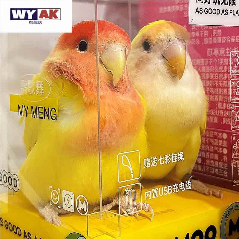 鹦鹉活鸟一公一母牡丹手养会说话黄桃绿桃鸟类活物适合儿童小孩子图片