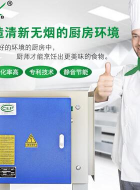 低排油烟过滤分离器复合式油烟处理设备uv光解除味油烟净化器