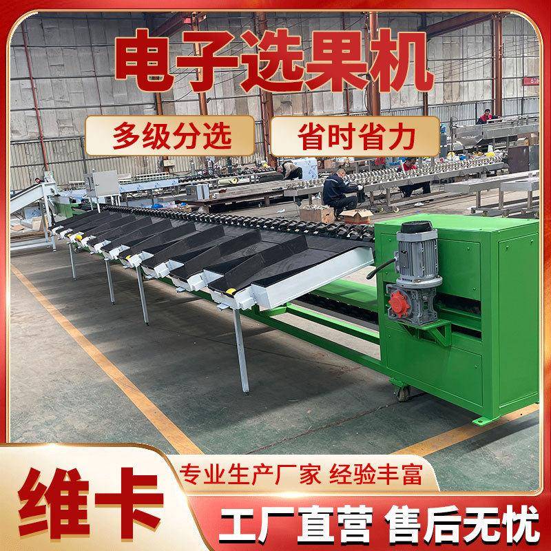 西红柿柠檬称重分级机精度效率快百香果山竹重量分拣机选果机