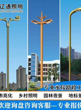 中式led路灯民族特色造型灯8-12m防水道路景观灯公路城市高杆路灯