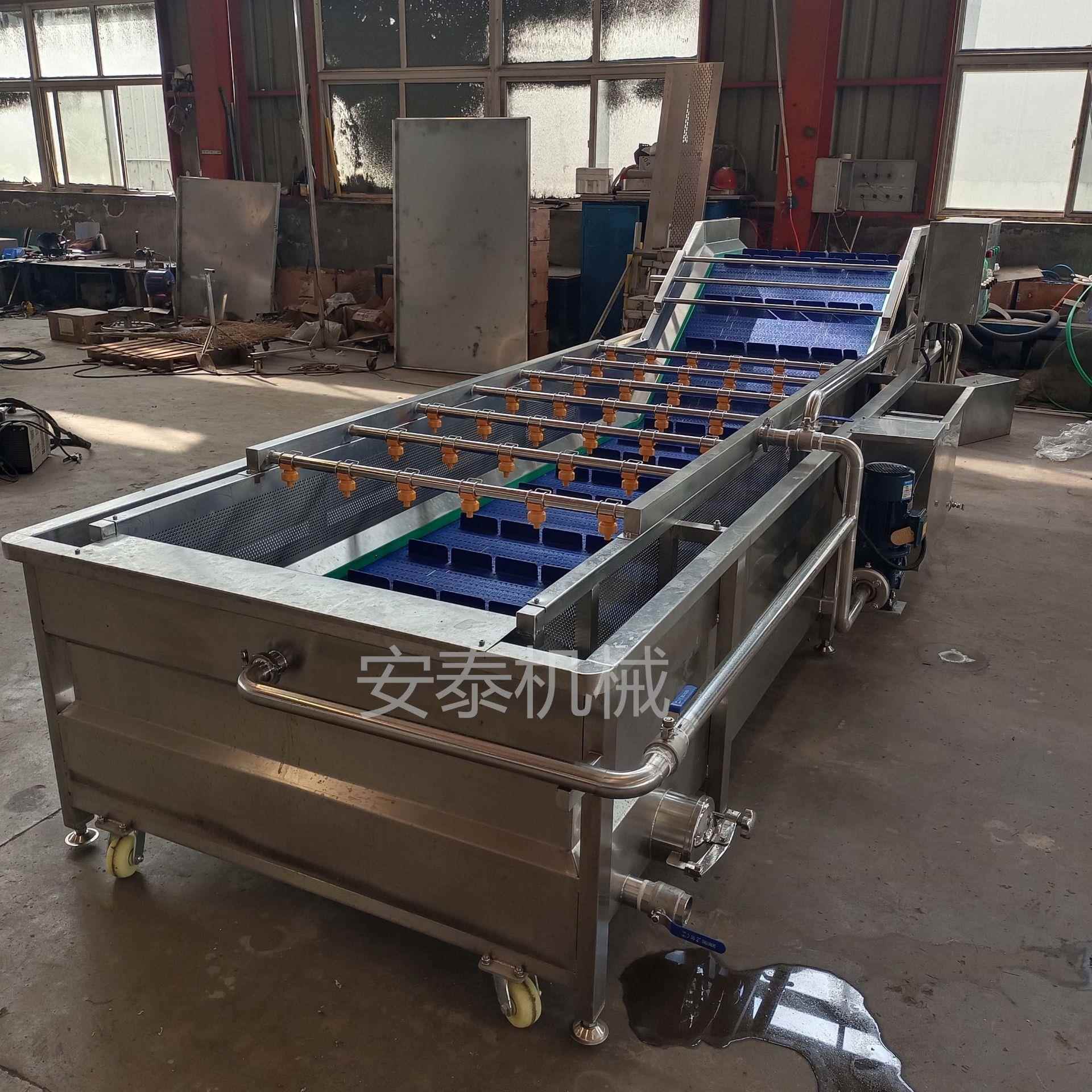 商IBN菇菌类气泡清洗机香用果蔬脐橙大姜洗机清净菜气泡清洗漂烫