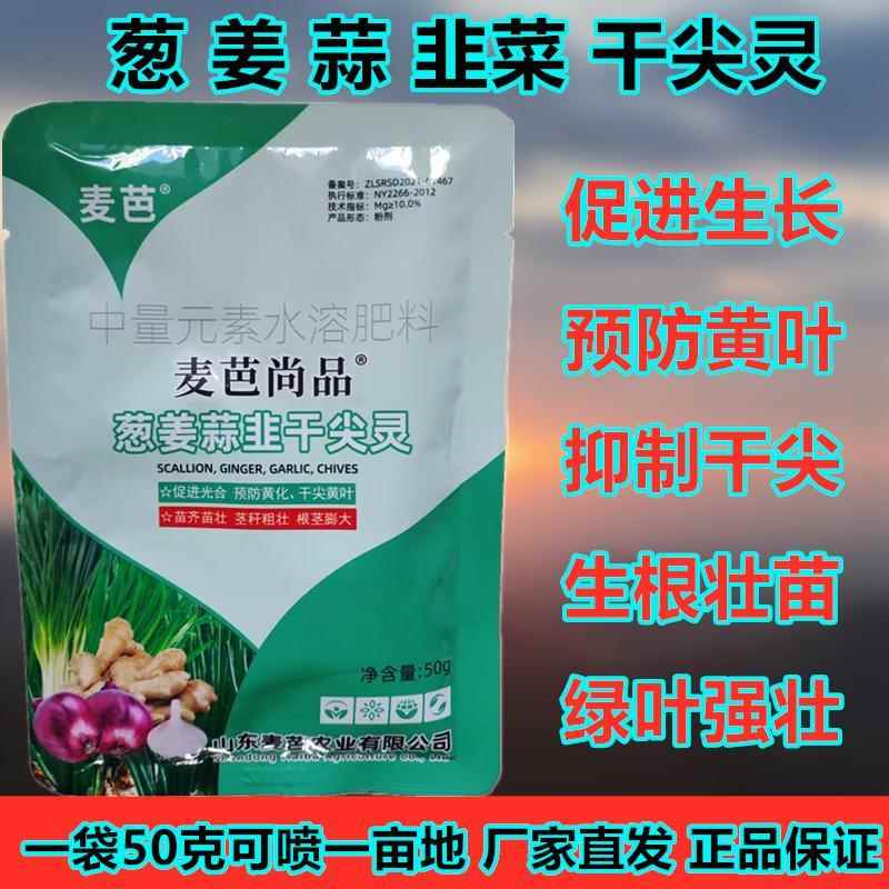 葱姜蒜韭菜干尖灵干尖秘方预防黄叶黄化生长慢快速提苗壮苗叶面肥