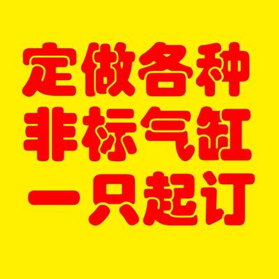 非标气缸定制 气缸定做 不锈钢气缸定做SC SI QGB SDA MA