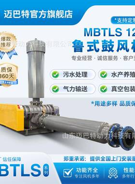 MBTLS125 鲁式鼓风机增氧机气力输送三叶罗茨风污水处理