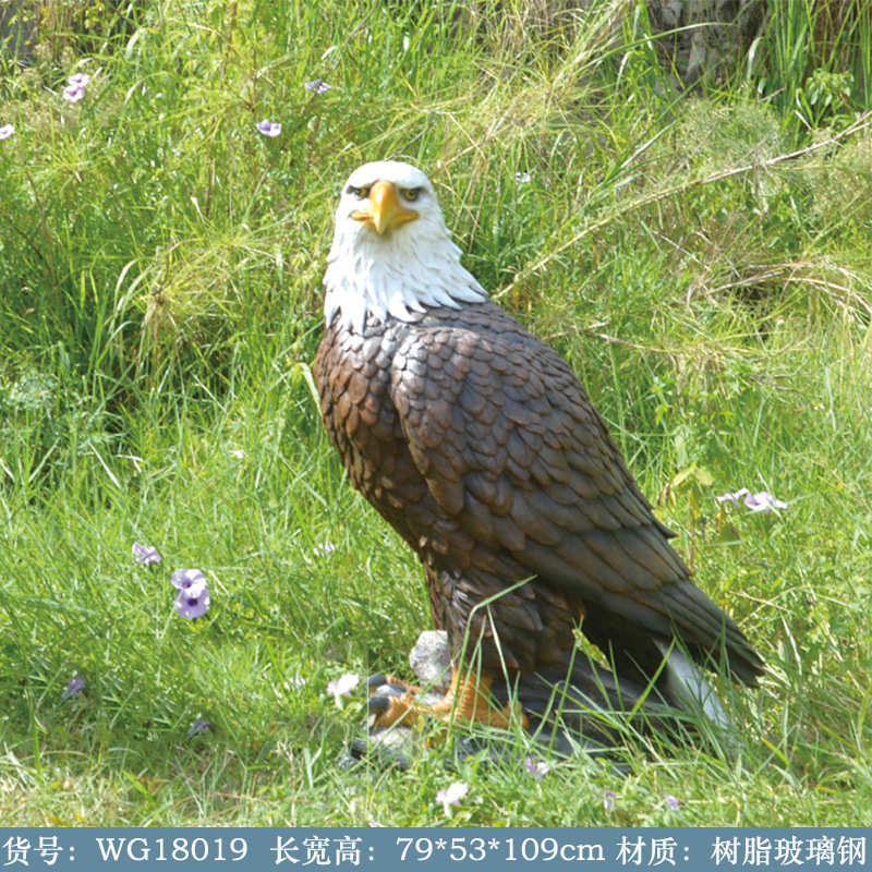 园林树脂景观鹰美洲老鹰仿真雕塑白头玻璃钢户外装饰工艺礼品庭院