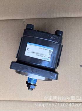 KP1/8G10AK0A4NL2克拉克高压齿轮泵