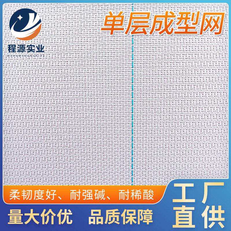 聚酯多层成型网造纸机过虑专用网带纸浆过滤传送带厂家直供过滤网