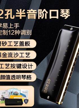 EASTTOP东方鼎半音阶口琴专业演奏12孔c调入门学生初学梦想者2.0