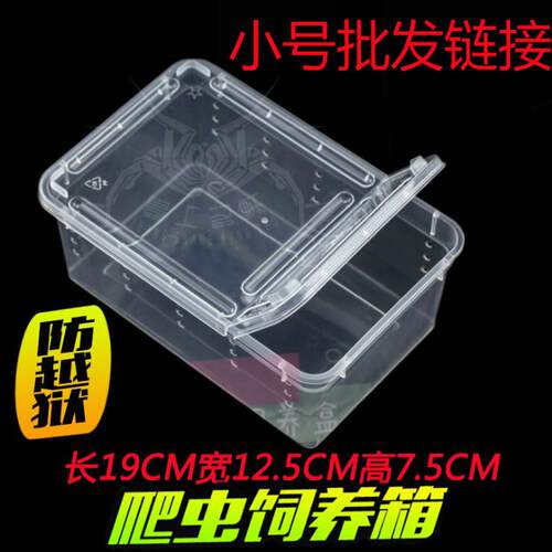 爬虫爬宠蜘蛛守宫蜥蜴蝎子蜈蚣角蛙龟蜗牛饲养盒宠物蛇饲养箱包邮