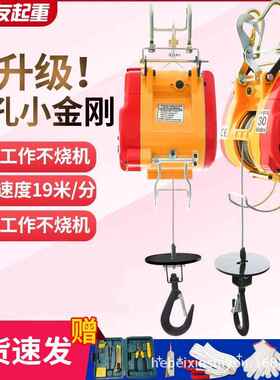 小金刚微型电动葫芦220v家用小吊机提升机卷扬机悬挂式起重电葫芦