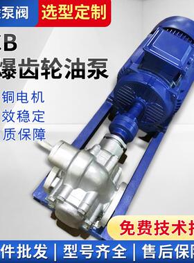 KCB不锈钢齿轮泵304不锈钢润滑油泵高压齿轮油泵
