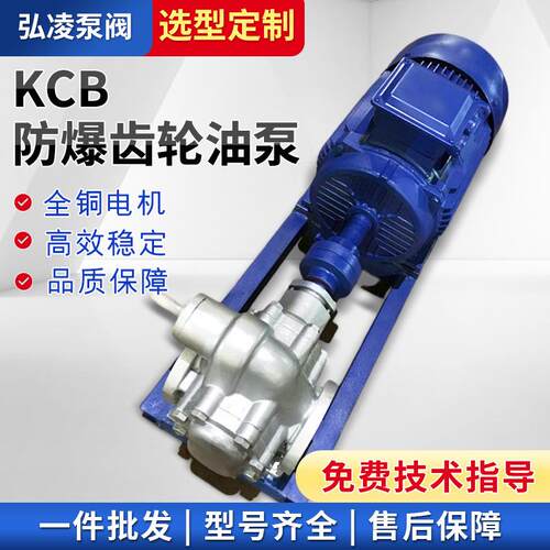 KCB不锈钢齿轮泵304不锈钢润滑油泵高压齿轮油泵