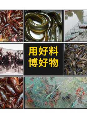 新款直销蓝色诱惑大包装地小龙虾河虾黄鳝鱼笼诱饵 一件70袋