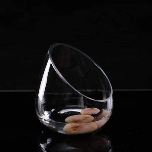 Slant Cut Bowl Glass Vase Plant Vase Micro Landscaping