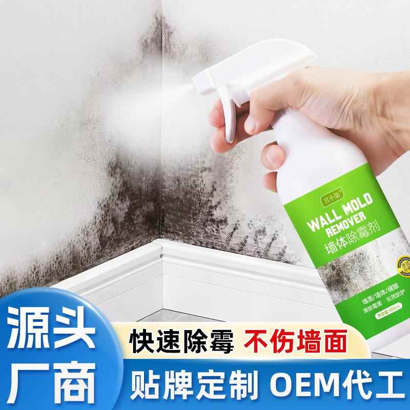 墙体除霉剂墙面去霉斑霉菌清洁剂家用除霉剂厨房卫生间除霉清洗剂
