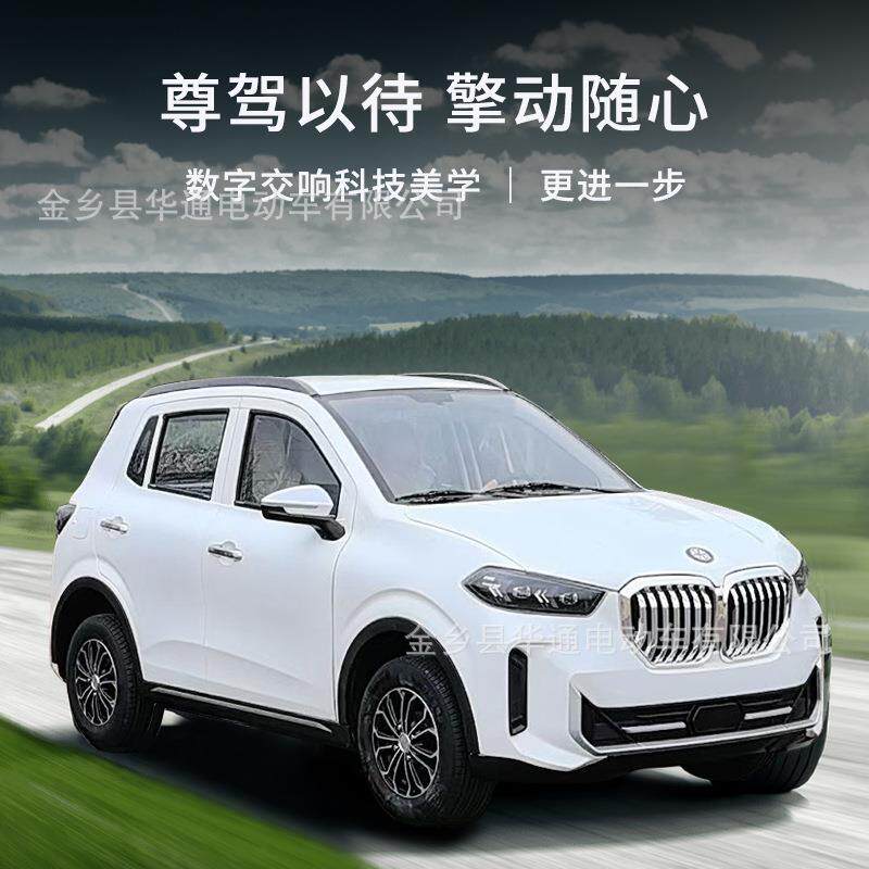 电动四轮车家用成人老头乐代步新能源低速小型男女士油电两用汽车