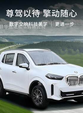 电动四轮车家用成人老头乐代步新能源低速小型男女士油电两用汽车