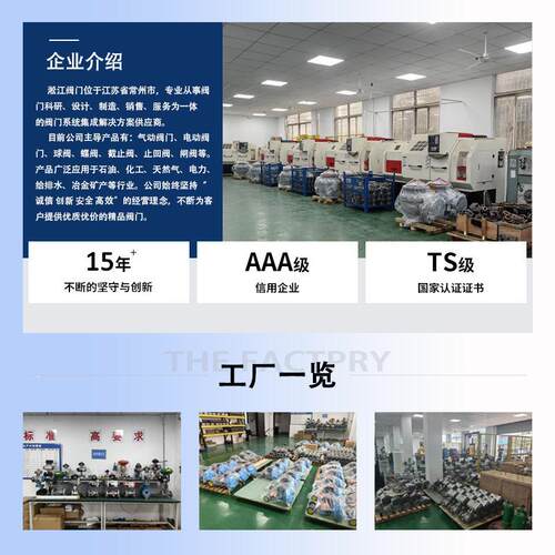 偏心半球阀PQ340F-法25MAGA-102Q市政污球排水厂污管道侧装式涡轮