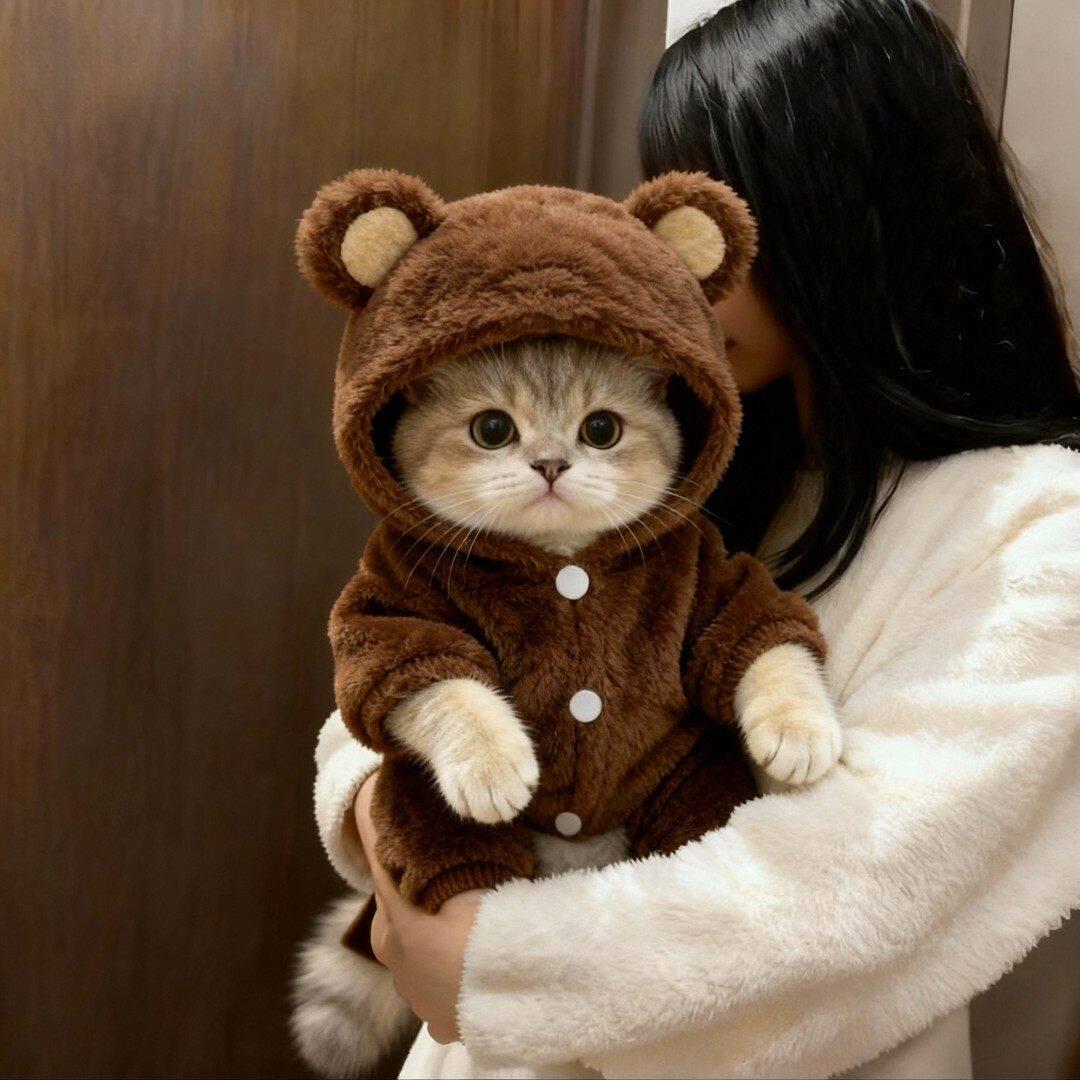 日本日本猫咪衣服秋冬季可爱毛绒带帽棉衣保暖防掉毛四