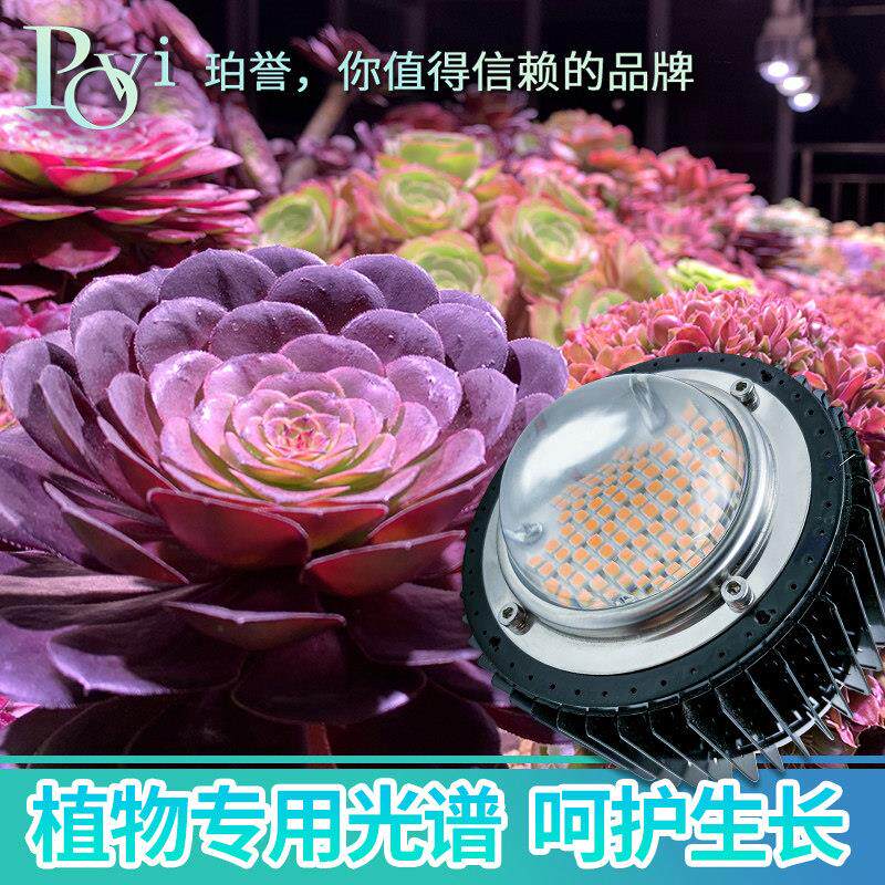 珀誉球泡植物生长大棚补光多肉上色防徒长鹿角蕨龙舌兰花卉LED灯