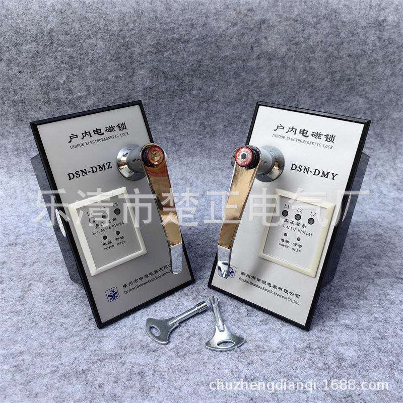 衢州申源户内高压电磁锁DSN-DMZ/DMY手柄式高压柜电门锁电控锁