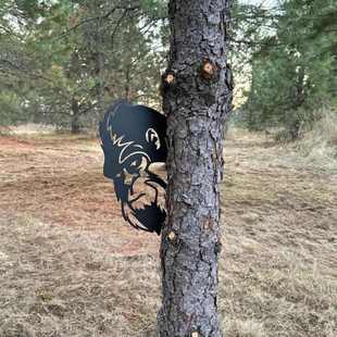 Flipping Boo Off Metal 饰 Peek Sign地插花园围栏农场庭院装